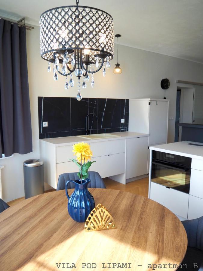 Apartament Vila Pod Lipami Bruntál Zewnętrze zdjęcie