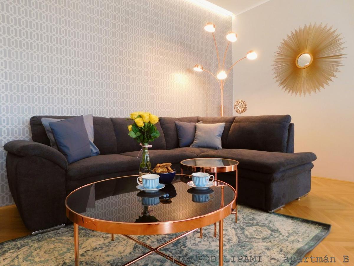 Apartament Vila Pod Lipami Bruntál Zewnętrze zdjęcie