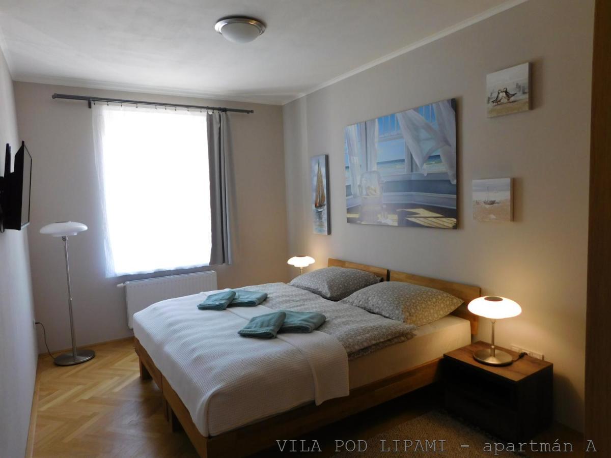 Apartament Vila Pod Lipami Bruntál Zewnętrze zdjęcie