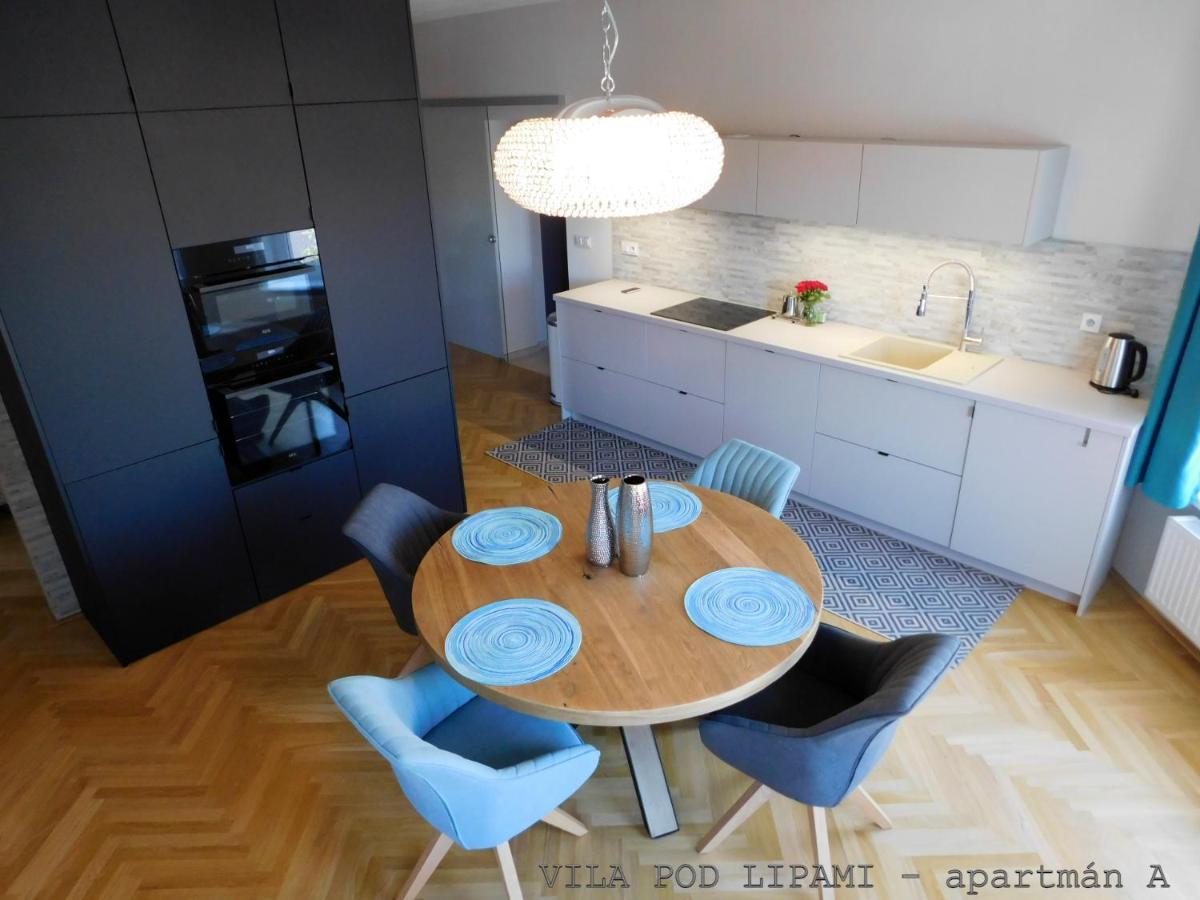 Apartament Vila Pod Lipami Bruntál Zewnętrze zdjęcie
