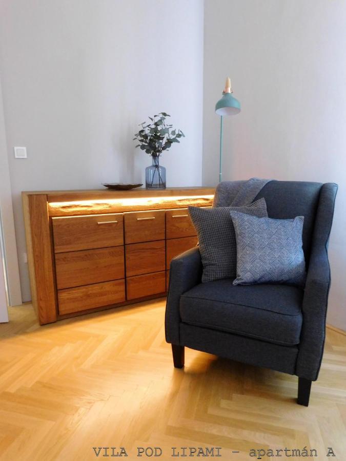 Apartament Vila Pod Lipami Bruntál Zewnętrze zdjęcie