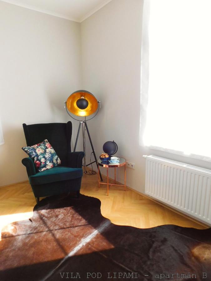 Apartament Vila Pod Lipami Bruntál Zewnętrze zdjęcie