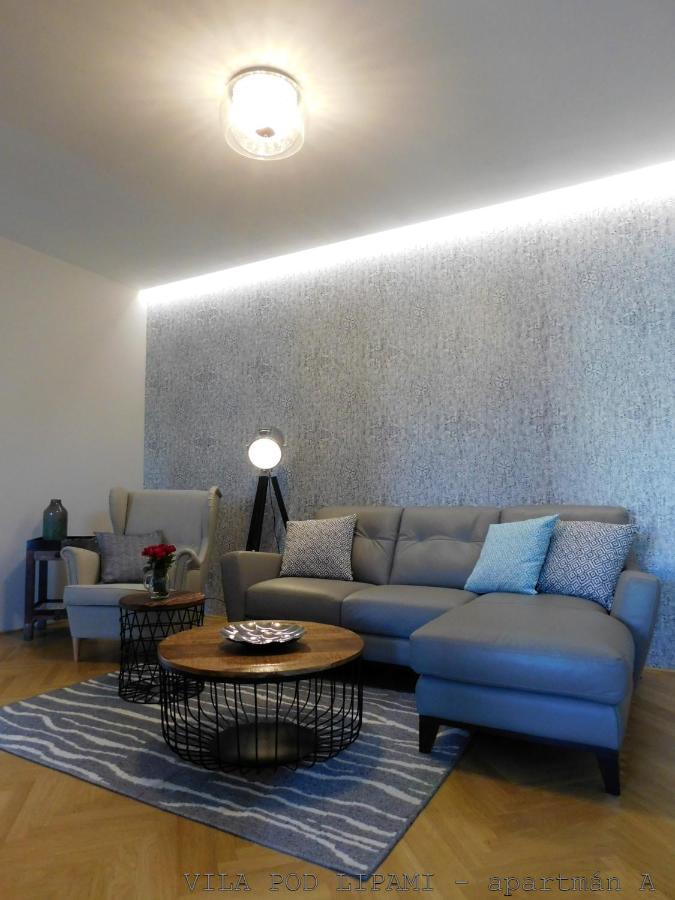 Apartament Vila Pod Lipami Bruntál Zewnętrze zdjęcie